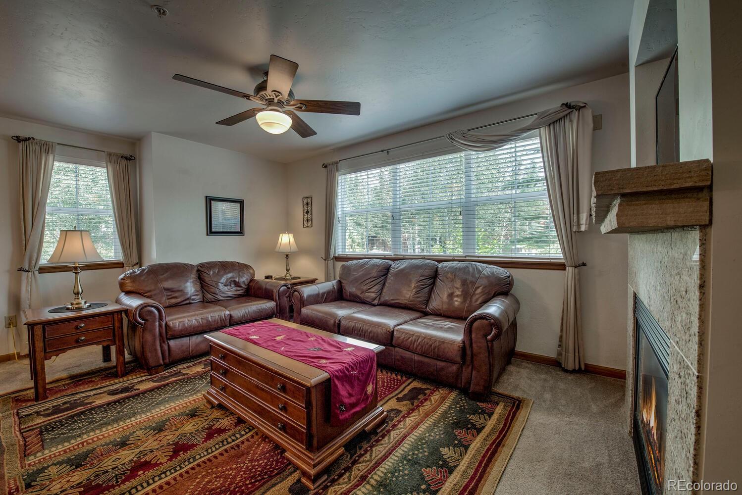 Report Image #1 for 304  Streamside Lane,Frisco, Colorado