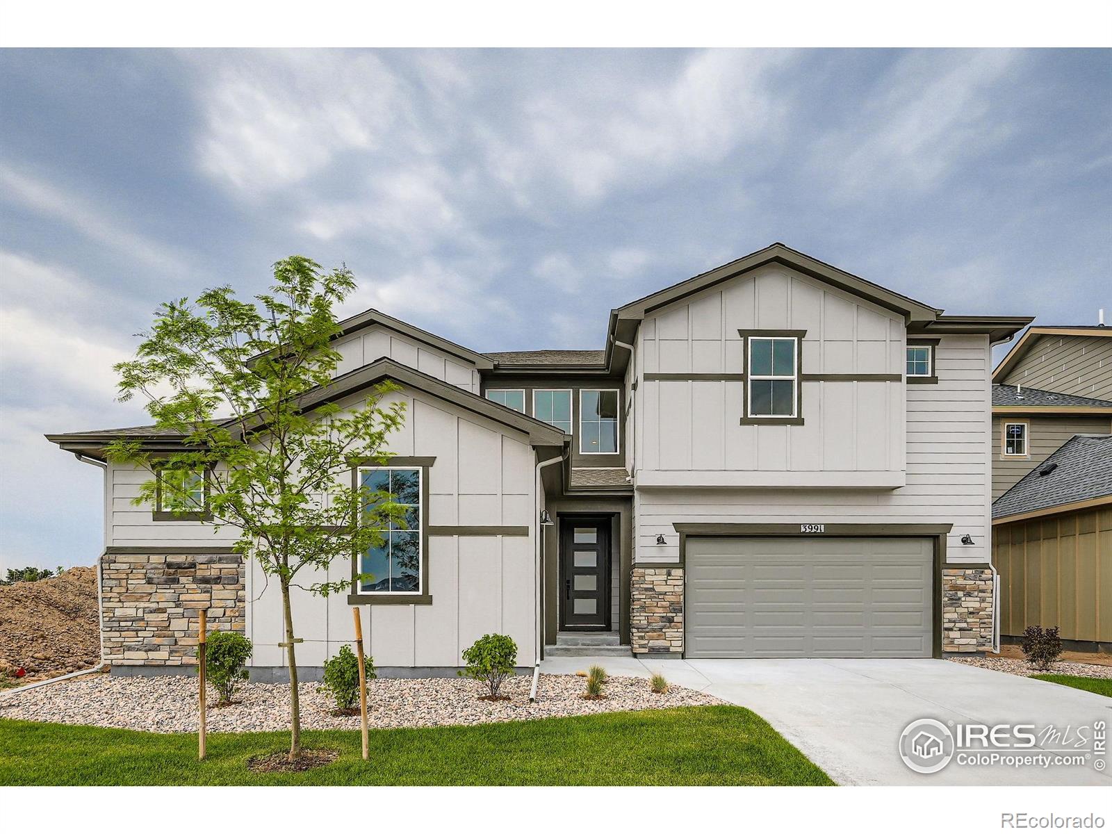 Report Image #1 for 3991  Wheathead Place,Timnath, Colorado