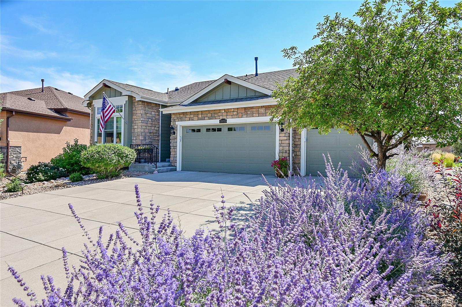 Report Image #1 for 15055  Ulster Way,Thornton, Colorado