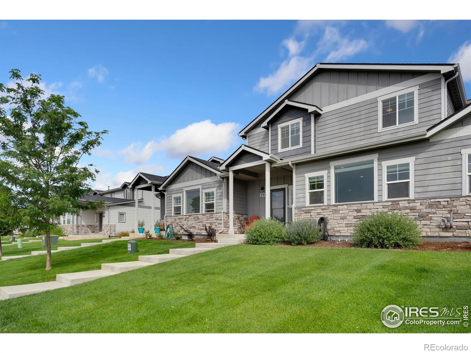 Report Image #1 for 298 E Chestnut Street,Windsor, Colorado