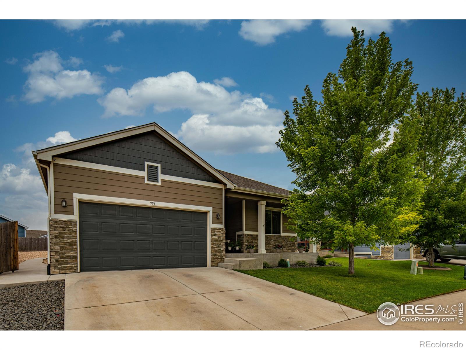 Report Image #1 for 993  Traildust Drive,Milliken, Colorado