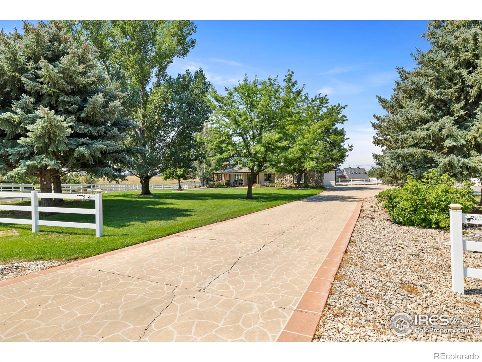Report Image #1 for 7779  Windsong Road,Windsor, Colorado