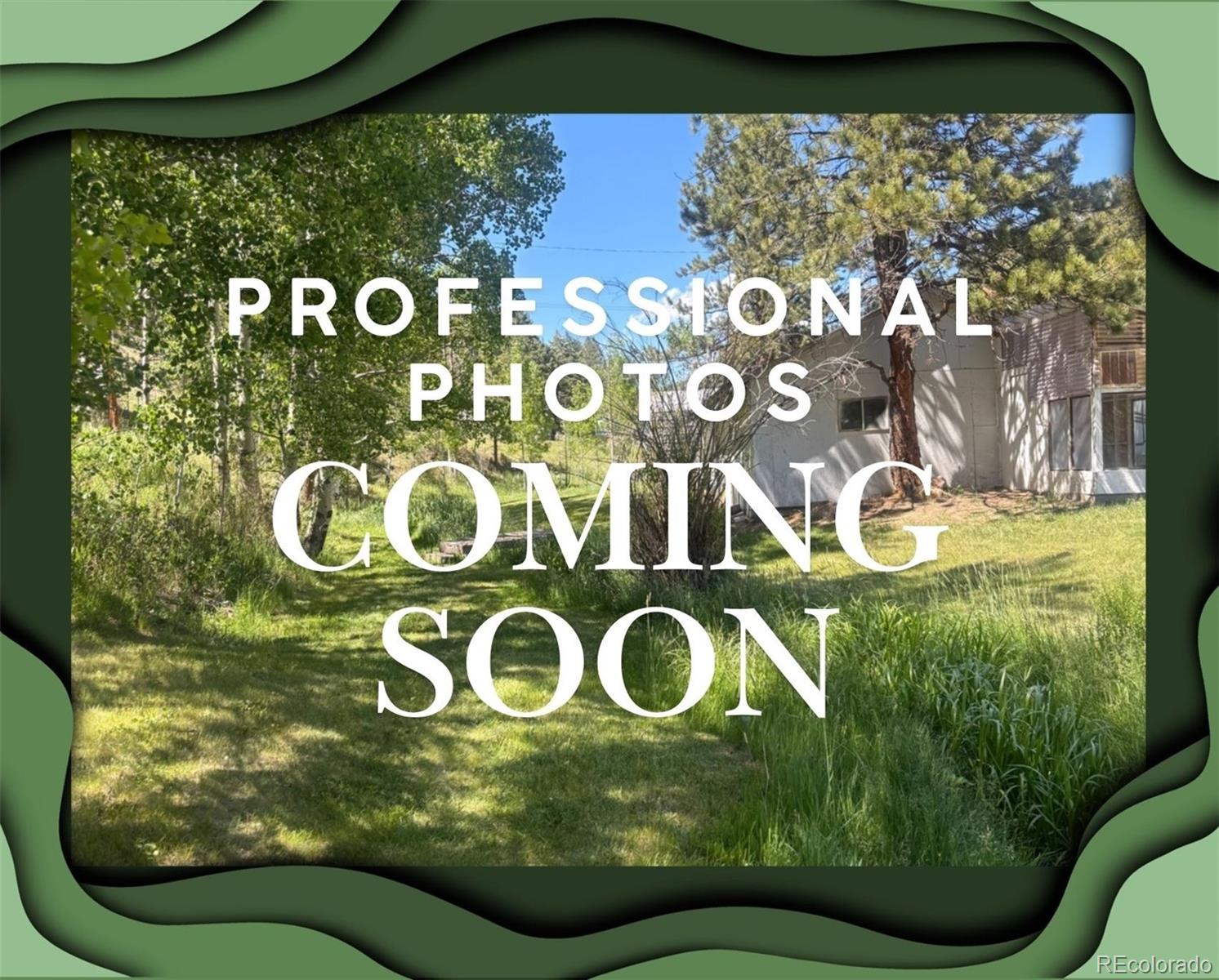 MLS Image # for 427  brookside drive,bailey, Colorado