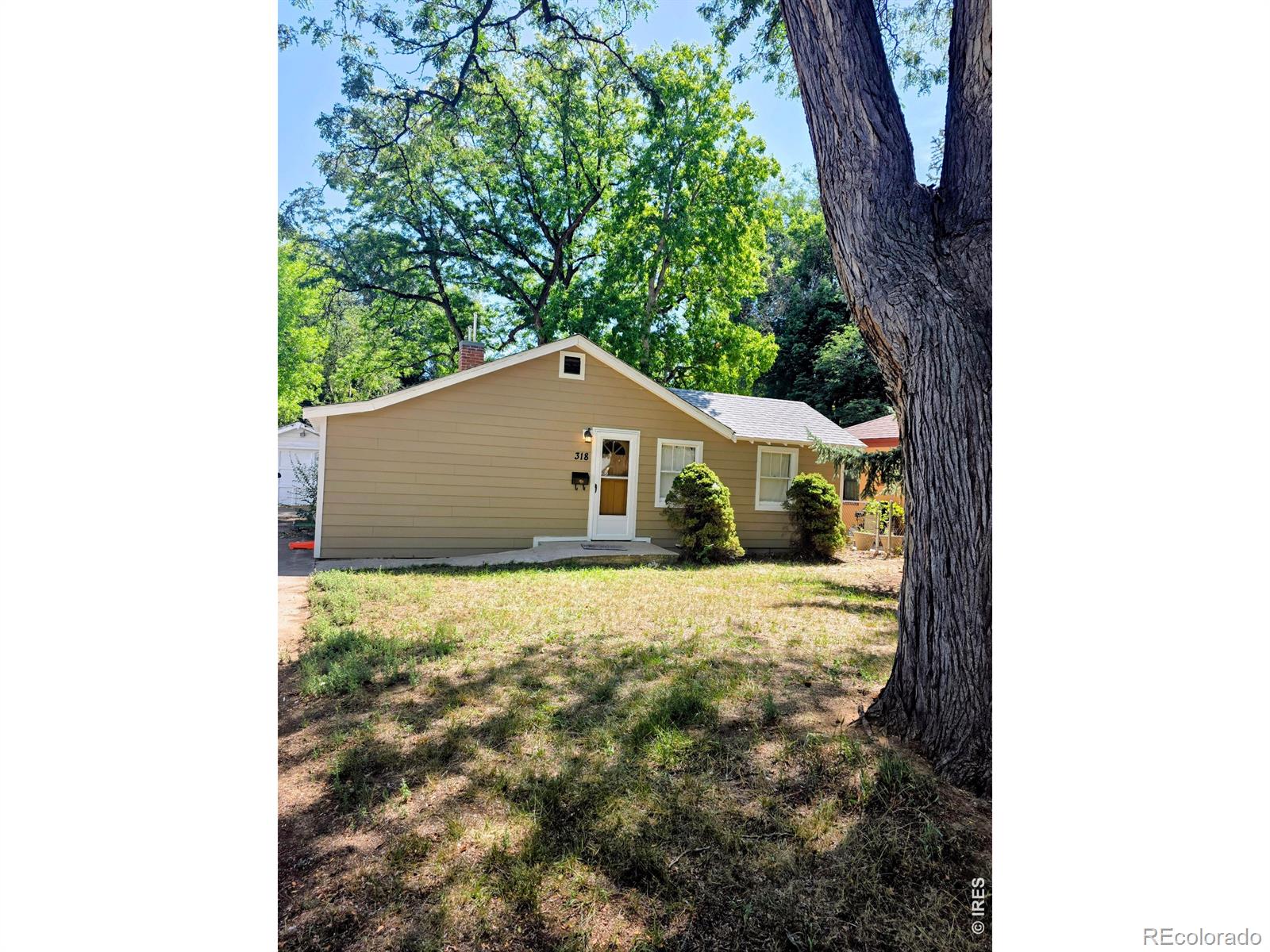 MLS Image # for 318  west street,fort collins, Colorado