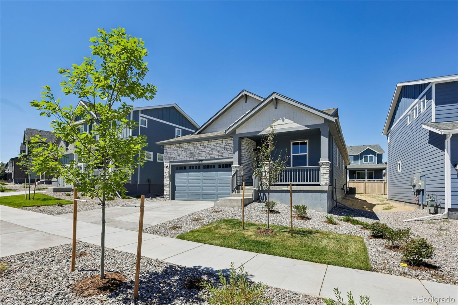 MLS Image # for 13783  daffodil way,parker, Colorado
